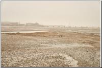 China_2016.03_02020.jpg