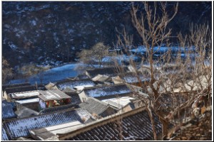 IMG_2016.01.08_012.jpg